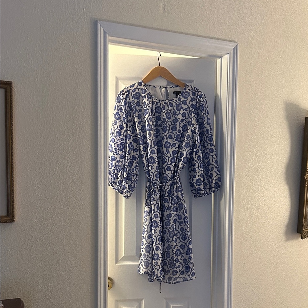 Ann Taylor Blue and White Long Sleeve Dress